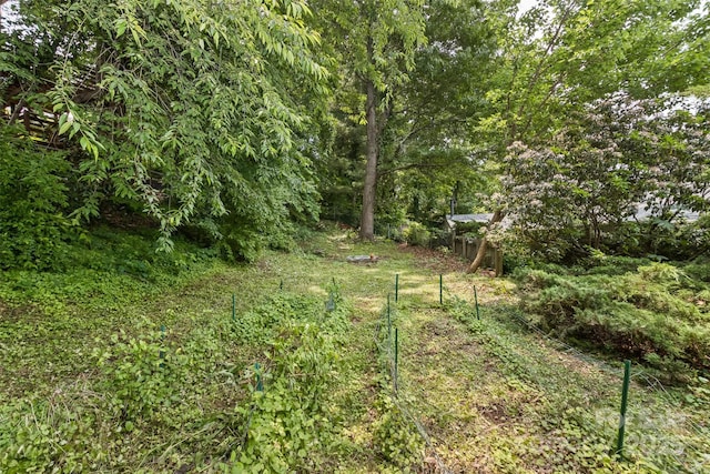 20 Kenilwood Pl, Asheville, NC 28803 - view of yard
