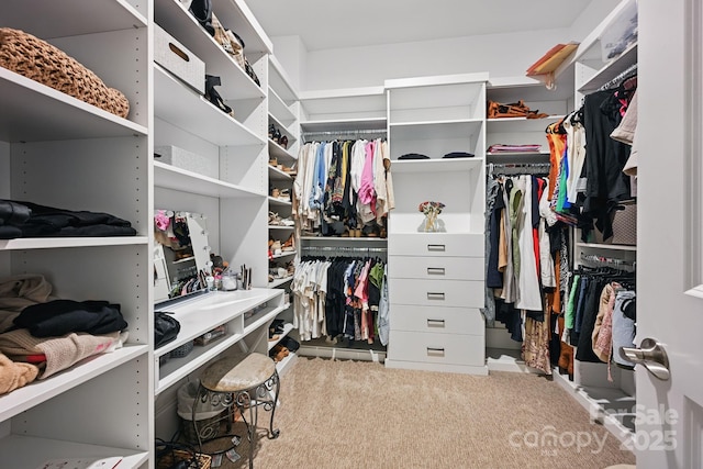 5118 Waldron Meadow Dr, Charlotte, NC 28226 - walk in closet with carpet