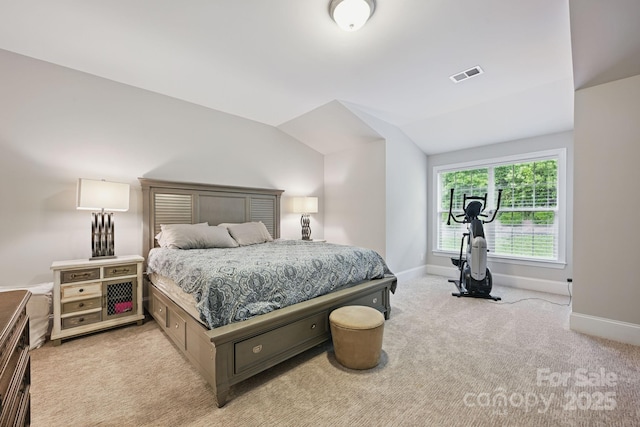 5118 Waldron Meadow Dr, Charlotte, NC 28226 - carpeted bedroom with baseboards and lofted ceiling