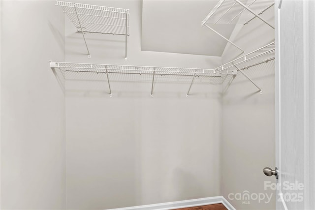 18339 The Commons Blvd, Cornelius, NC 28031 - view of spacious closet