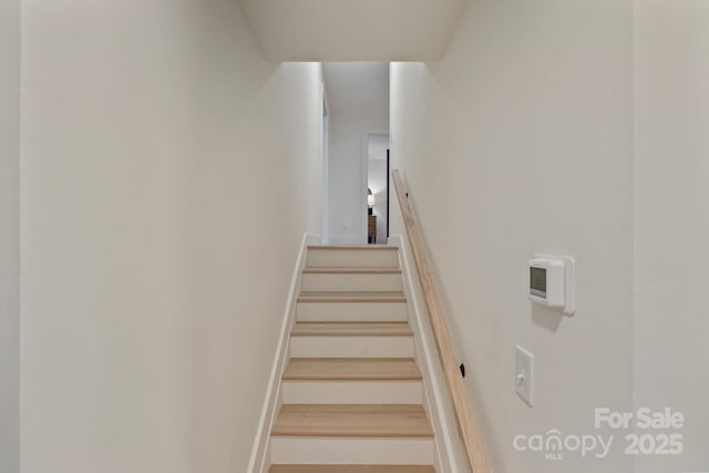 3326 Winterfield Pl, Charlotte, NC 28205 - stairs with baseboards