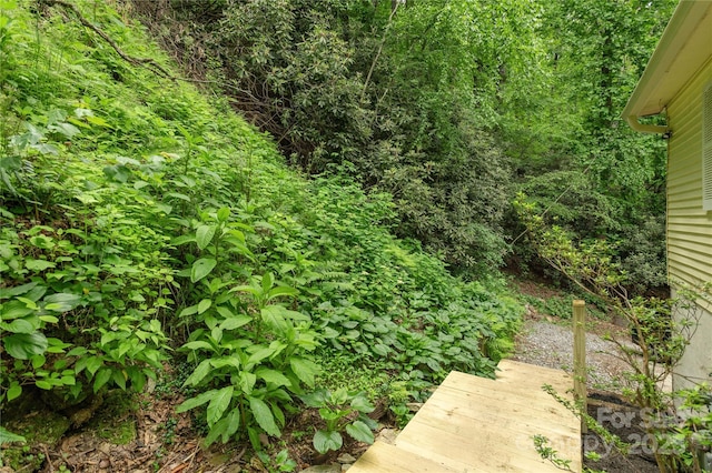 608 Surrey Glen Cir, Hendersonville, NC 28739 - view of yard