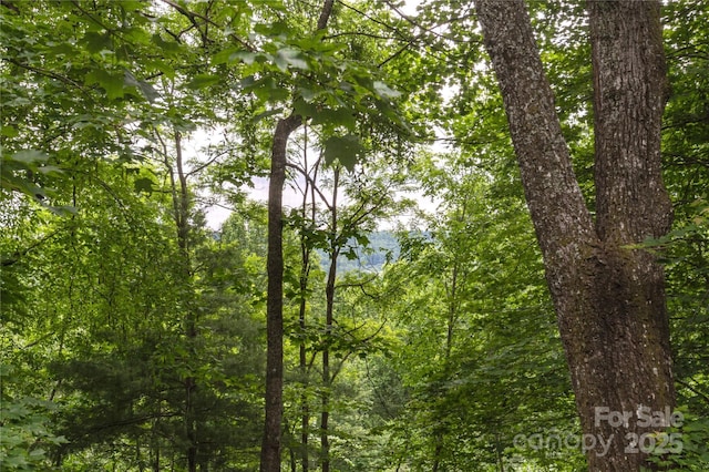 608 Surrey Glen Cir, Hendersonville, NC 28739 - view of woods