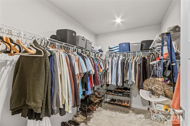 124 Kristin View Ln Unit C, Troutman, NC 28166 - walk in closet with carpet floors