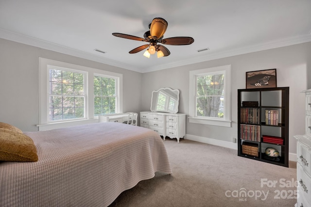 361 5th St NW, Hickory, NC 28601 - bedroom with multiple windows, carpet flooring, crown molding, baseboards, and a ceiling fan