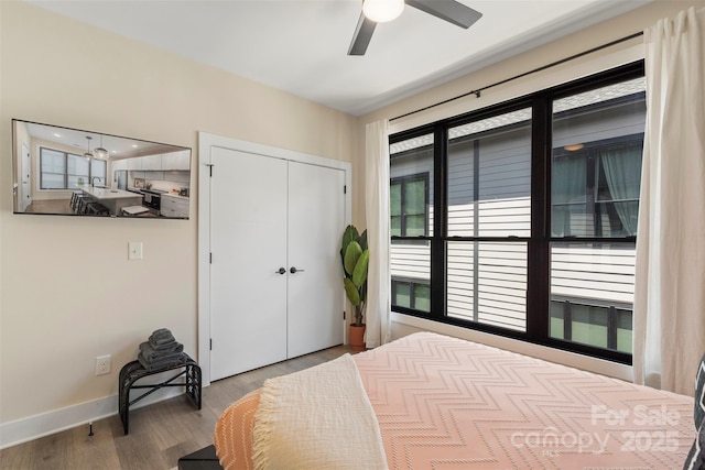 4520 Radler Ct, Charlotte, NC 28217 - bedroom with wood finished floors, a closet, and baseboards