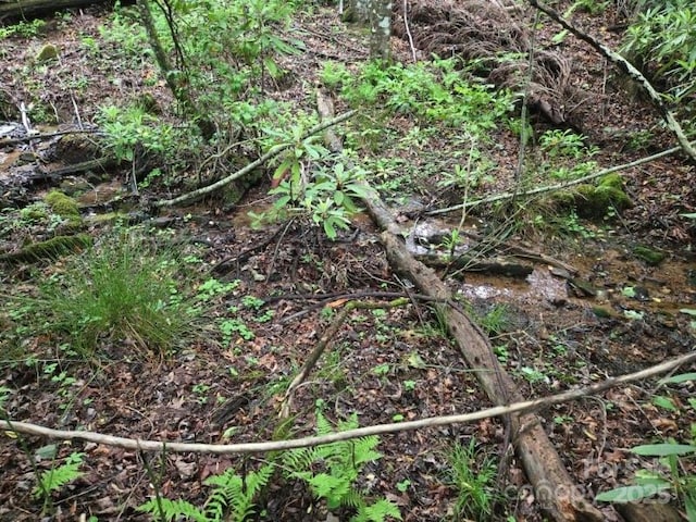 229 Hubbard Hollow Rd, Rosman, NC 28772 - view of local wilderness