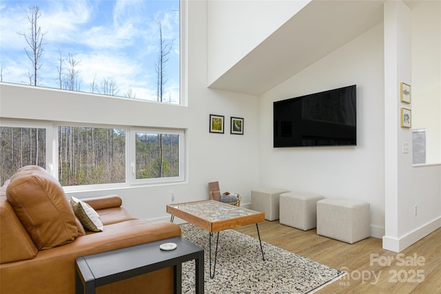 75 S Fork Trl, Lake Toxaway, NC 28747 - living area featuring baseboards, wood finished floors, and healthy amount of natural light