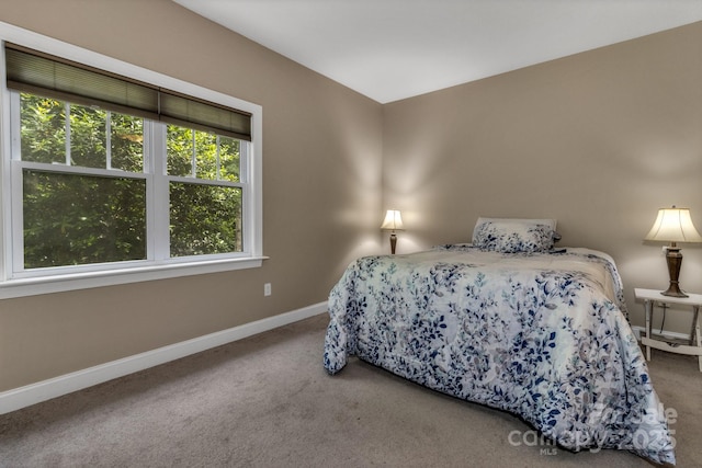 32 White Fox Dr, Fletcher, NC 28732 - bedroom featuring carpet floors and baseboards