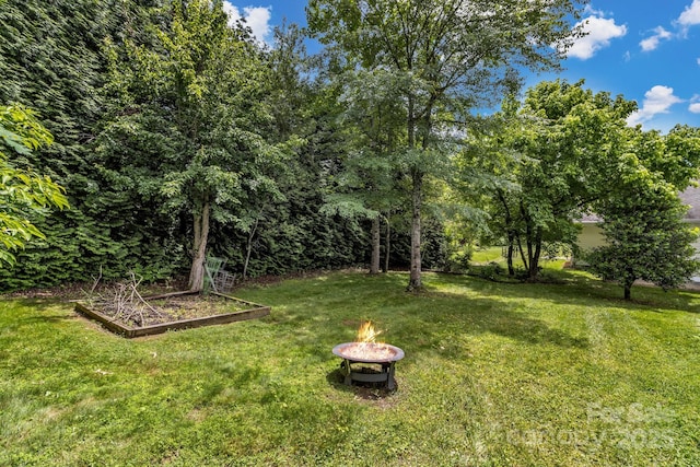 32 White Fox Dr, Fletcher, NC 28732 - view of green lawn with a fire pit