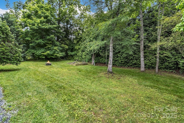 32 White Fox Dr, Fletcher, NC 28732 - view of green lawn