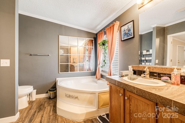 553 New Hope Rd, Rutherfordton, NC 28139 - bathroom with vanity, wood finished floors, a bath, toilet, and ornamental molding