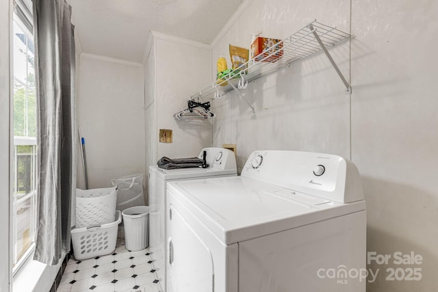 553 New Hope Rd, Rutherfordton, NC 28139 - washroom with ornamental molding, independent washer and dryer, and light floors
