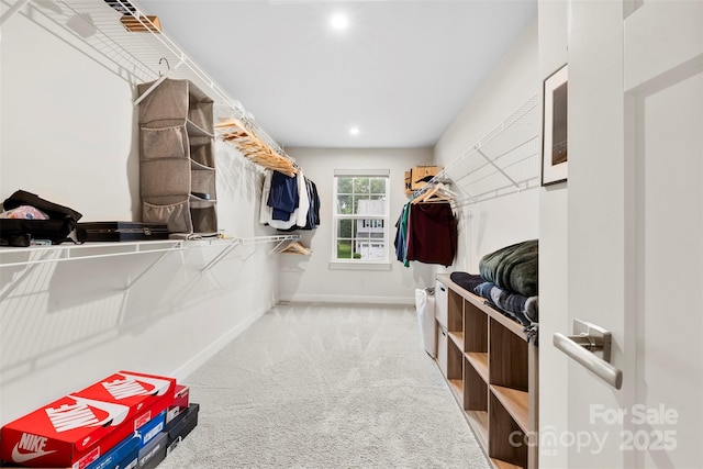 1022 Hinson Forest Rd, Monroe, NC 28110 - walk in closet with carpet flooring