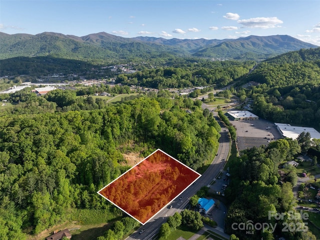 99999 Russ Ave, Waynesville, NC 28786 - photo 1