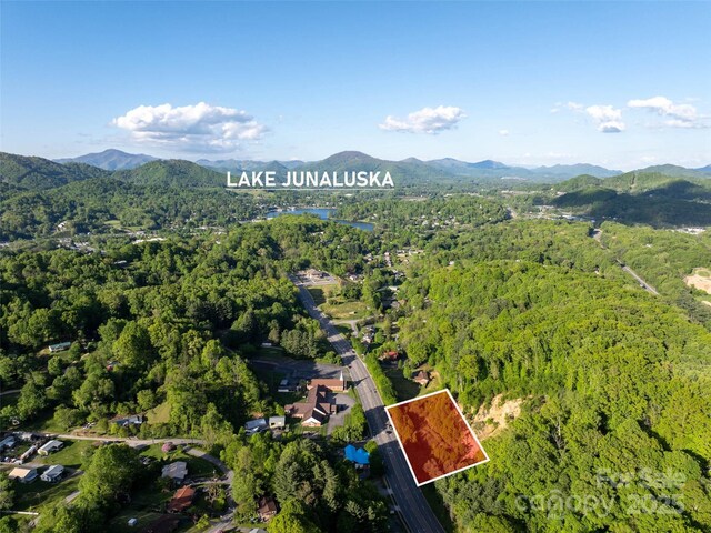 99999 Russ Ave, Waynesville, NC 28786 - photo 2
