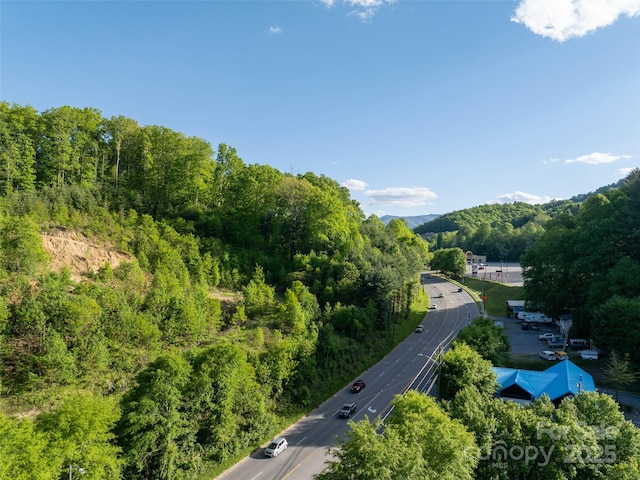 99999 Russ Ave, Waynesville, NC 28786 - photo 3