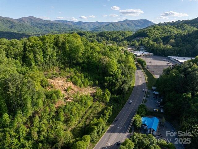 99999 Russ Ave, Waynesville, NC 28786 - photo 4