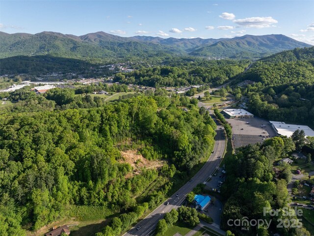 99999 Russ Ave, Waynesville, NC 28786 - photo 5