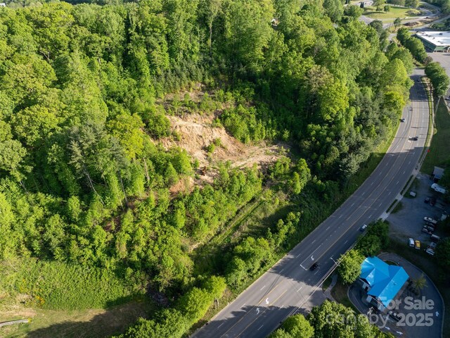 99999 Russ Ave, Waynesville, NC 28786 - photo 6