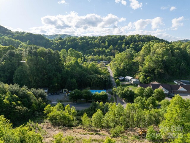 99999 Russ Ave, Waynesville, NC 28786 - photo 7