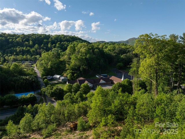 99999 Russ Ave, Waynesville, NC 28786 - photo 8