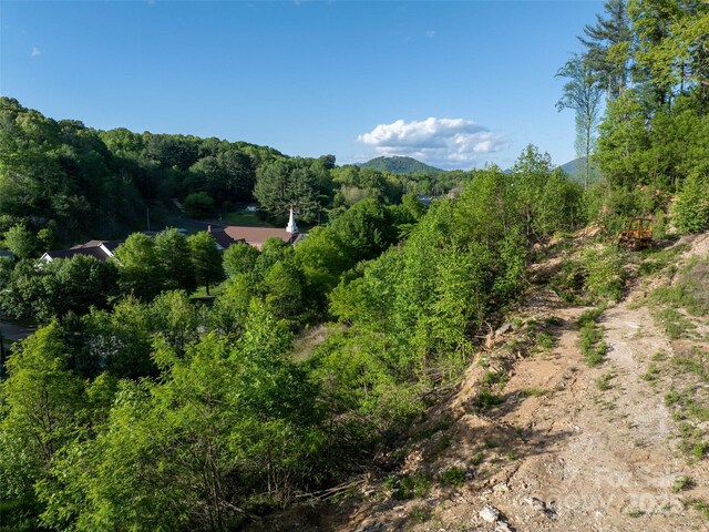 99999 Russ Ave, Waynesville, NC 28786 - photo 9