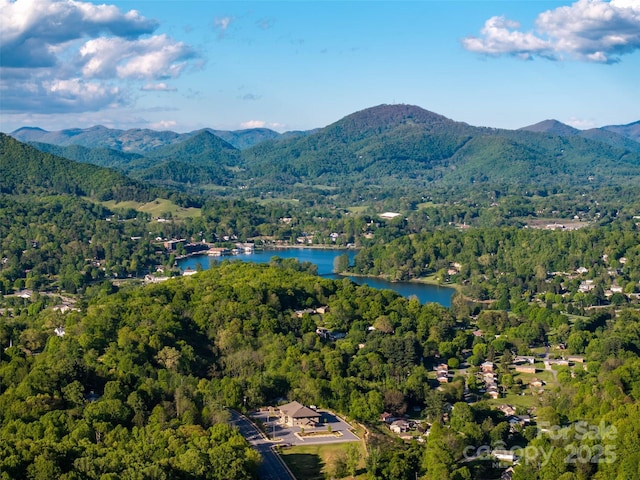 99999 Russ Ave, Waynesville, NC 28786 - photo 11