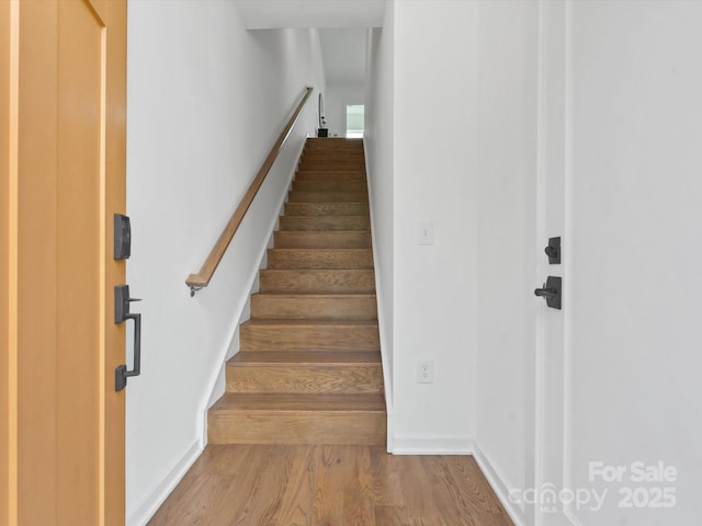 2653 Shenandoah Ave, Charlotte, NC 28205 - photo 3