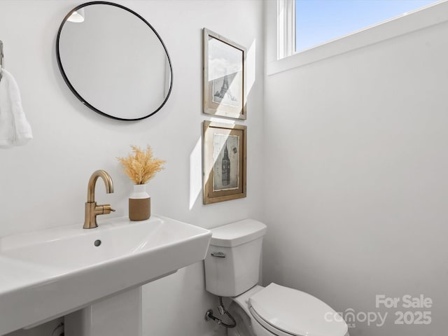 2653 Shenandoah Ave, Charlotte, NC 28205 - photo 7