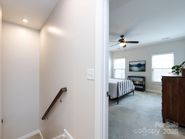 1839 Shumard Ln, Charlotte, NC 28205 - staircase featuring carpet and a ceiling fan