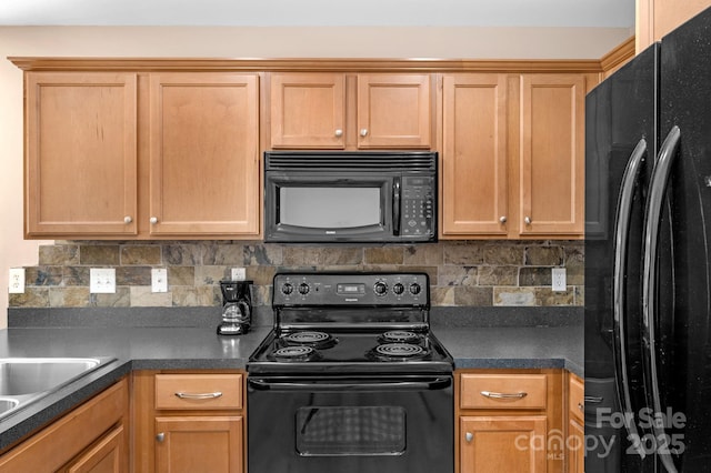 1907 Sandal Brook Rd, Fort Mill, SC 29707 - kitchen with black appliances, tasteful backsplash, dark countertops, and a sink