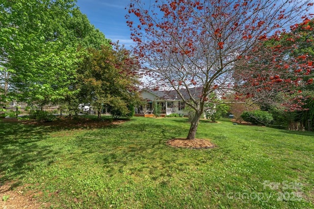 54 Donna Ln, Alexander, NC 28701 - view of grassy yard
