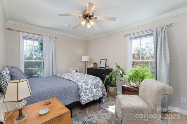 54 Donna Ln, Alexander, NC 28701 - bedroom featuring multiple windows, baseboards, wood finished floors, crown molding, and ceiling fan