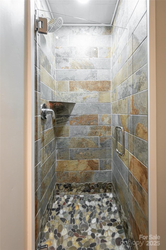 110 Annandale Ave, Asheville, NC 28801 - full bathroom with stone flooring and a shower stall