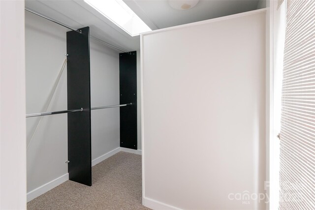 110 Annandale Ave, Asheville, NC 28801 - walk in closet featuring carpet floors