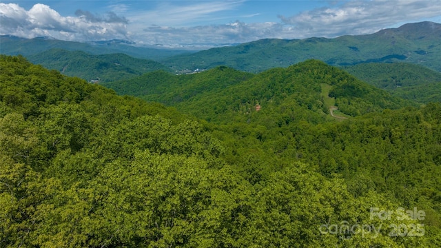 1283 Leafstone Cir, Sylva, NC 28779 - mountain view featuring a heavily wooded area