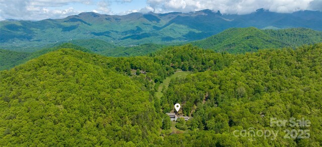 1283 Leafstone Cir, Sylva, NC 28779 - view of mountain backdrop featuring a heavily wooded area
