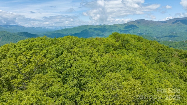 1283 Leafstone Cir, Sylva, NC 28779 - mountain view with a forest