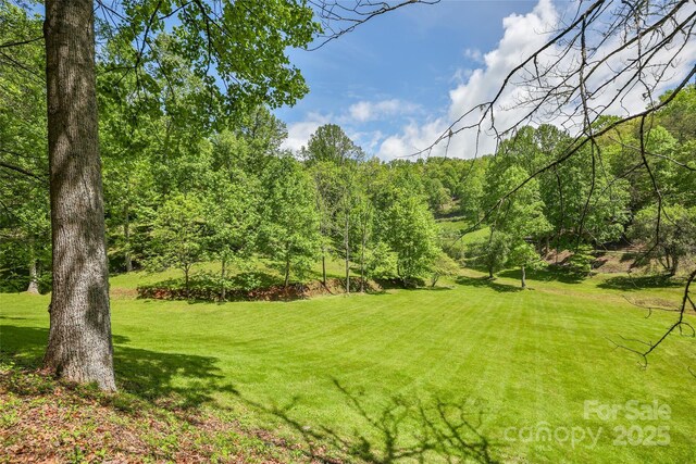 1283 Leafstone Cir, Sylva, NC 28779 - view of green lawn