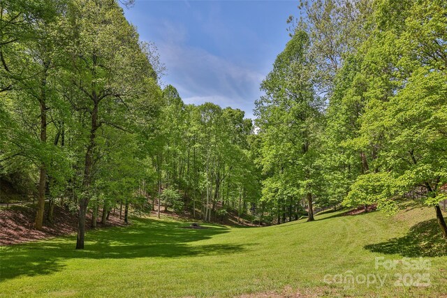 1283 Leafstone Cir, Sylva, NC 28779 - view of grassy yard