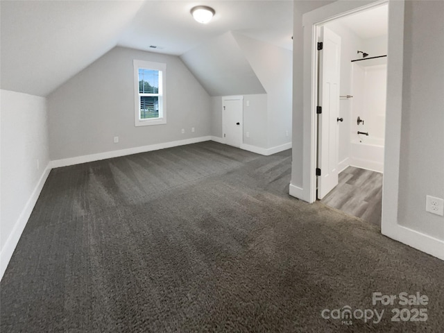 263 Lauren Pines Dr, York, SC 29745 - additional living space featuring carpet flooring, baseboards, and lofted ceiling
