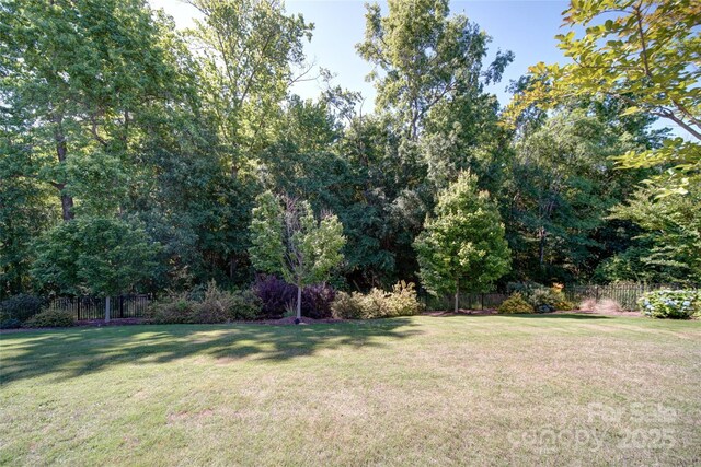 2035 Beacon Ave, Monroe, NC 28110 - view of yard