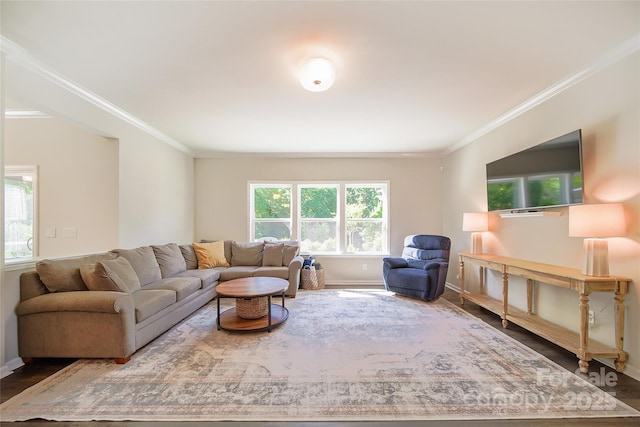 2035 Beacon Ave, Monroe, NC 28110 - living room featuring crown molding, baseboards, healthy amount of natural light, and wood finished floors