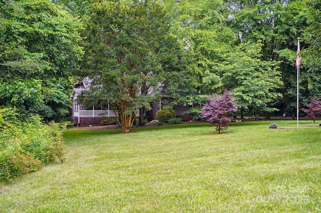 7725 Whitmire Ln, Mint Hill, NC 28227 - view of green lawn