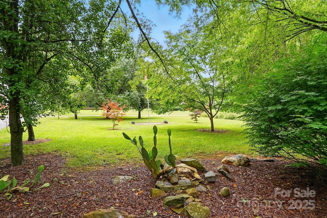 7725 Whitmire Ln, Mint Hill, NC 28227 - view of green lawn