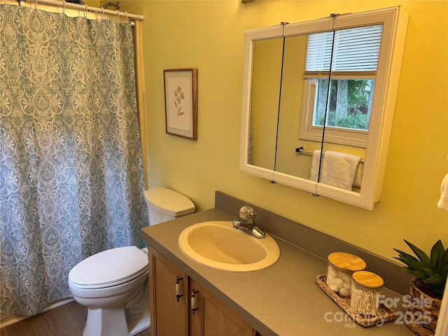 1228 Hidden Creek Cir, Hickory, NC 28602 - bathroom featuring vanity, toilet, wood finished floors, and a shower with shower curtain