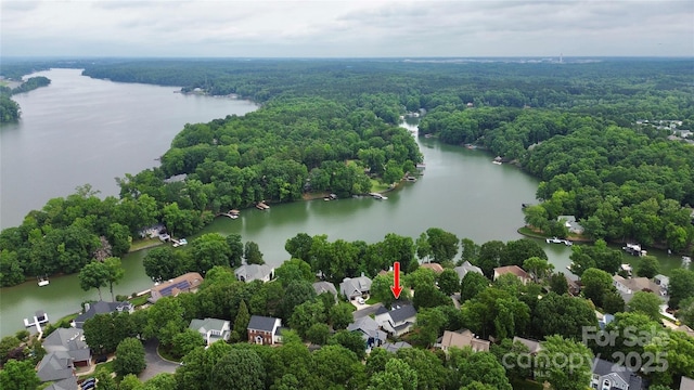 10449 Quiet Bay Ct, Charlotte, NC 28278 - aerial view of residential area with a nearby body of water and a heavily wooded area