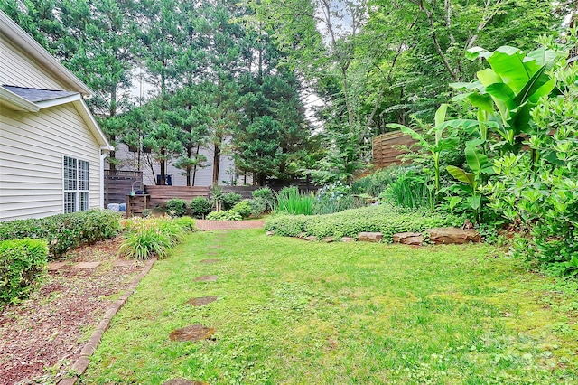 10449 Quiet Bay Ct, Charlotte, NC 28278 - view of yard