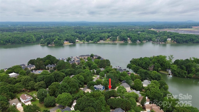 10449 Quiet Bay Ct, Charlotte, NC 28278 - aerial view of a nearby body of water and a forest